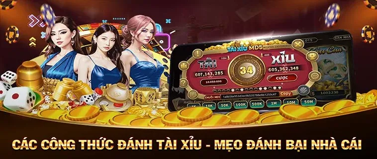 Hướng Dẫn Cách Tham Gia Tài Xỉu Nhà Cái Lixi88 Chuẩn Nhất